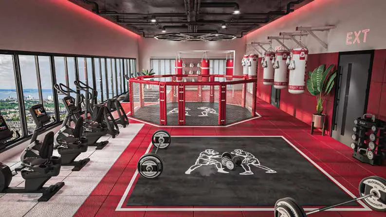 Rooftop MMA gym with a cage, heavy bags and cardio machines facing the city